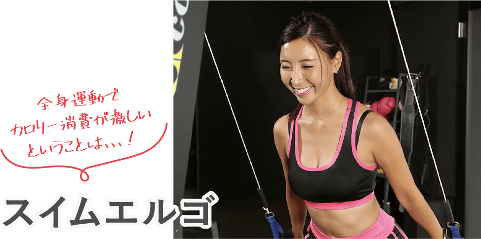 スイムエルゴ